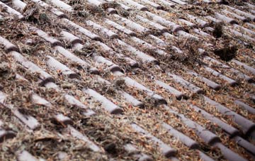 Bucklesham roof cleaning companies